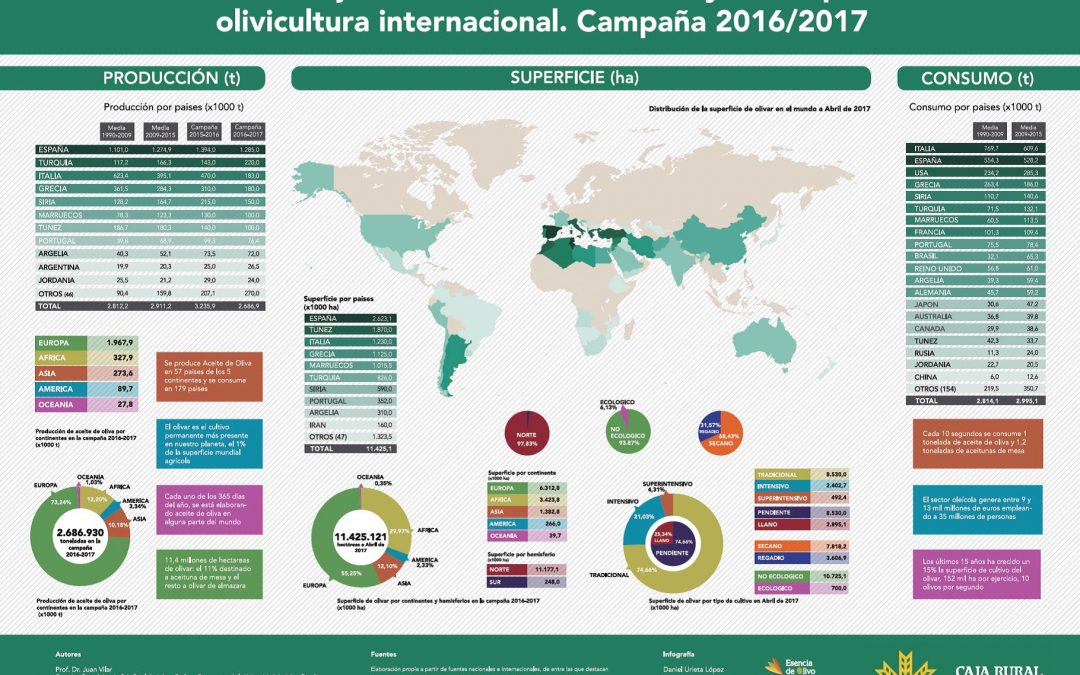 Informe Caja Rural de Jaén sobre Coyuntura para la Olivicultura