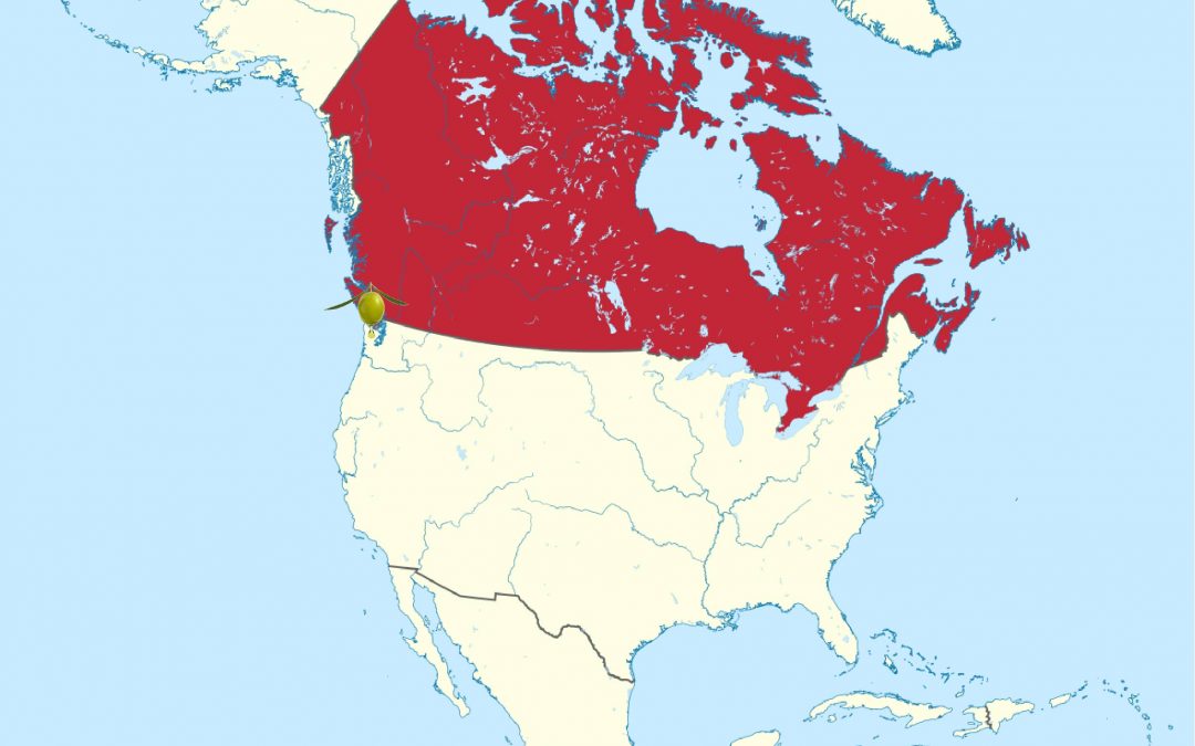 La tierra de Ogopogo, el Monstruo del lago Canadiense, ya cuenta con una plantación de olivos