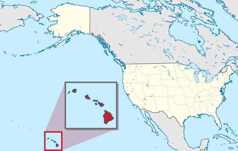 Olivo cultivado en Hawaii