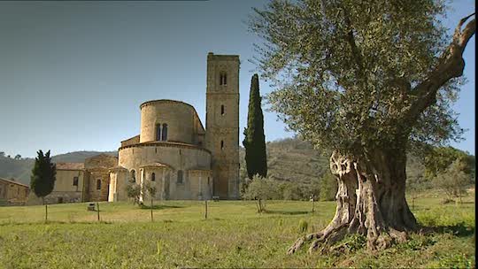 CHARLEMAGNE, OLIVE TREES AND THE ABBEY OF SANT’ANTIMO WERE ALL A TRIBUTE TO EVOO