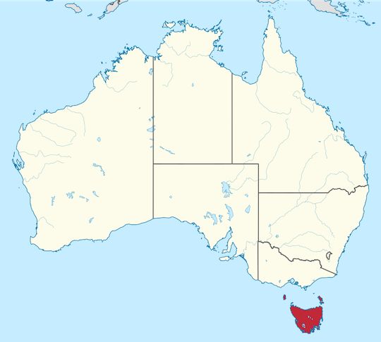 ¿POR QUÉ ES TASMANIA UNA ISLA OLIVARERA? LA RAZÓN, LA DENOMINADA OLIVICULTURA EMOTIVA