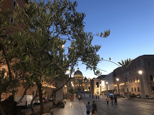 20 OLIVOS CUSTODIAN LA BASILICA DE SAN PEDRO