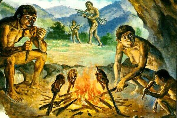 HACE CASI 800.000 AÑOS, EL HUMANO YA COCINABA SOBRE ASCUAS DE OLIVO