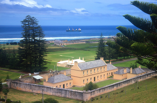 HOW DID THEY BEGIN PRODUCING OLIVE OIL ON NORFOLK ISLAND?