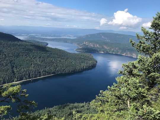 SALT SPRING ISLAND, DÓNDE PROSPERA EL OLIVO FUERA DE SU ZONA DE CONFORT