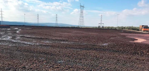 COLAPSO EN EL SECTOR PRODUCTOR DE ACEITE DE OLIVA DURANTE LA PRÓXIMA CAMPAÑA