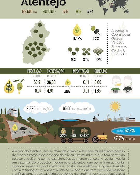 LA INNOVACIÓN EN OLIVICULTURA BRINDA MEJORAS SOCIALES, ECONÓMICAS, MEDIOAMBIENTALES Y RELATIVAS AL CONOCIMIENTO