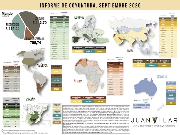 Informe de Coyuntura para la campaña 2020/21