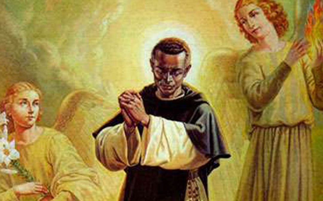 San Martin de Porres, an olive growing Saint