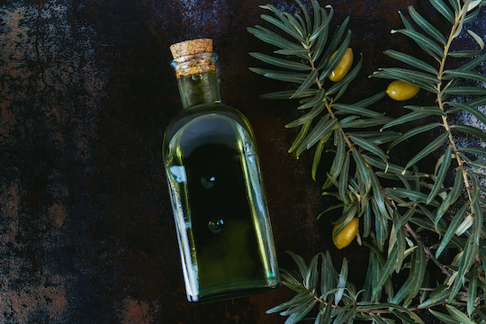 ANTHROPOLOGICAL AND BIOLOGICAL EVIDENCE OF THE ORIGIN OF CULTIVATED OLIVE TREES AND THE OLIVE OIL PRODUCTION