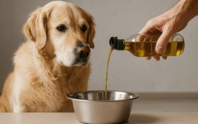 ¿Puede el AOVE alargar la vida de los perros? La ciencia abre una nueva puerta a la salud animal.