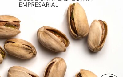 España ya es el cuarto país del mundo en superficie dedicada al pistacho: el cultivo se dispara con fuerza