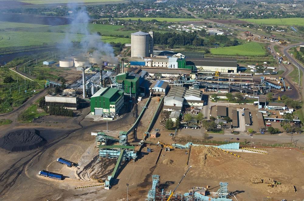 Esuatini (Suazilandia) debuta como país número 67 produciendo aceite de oliva.