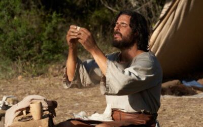 El aceite de oliva como metáfora del sacrificio