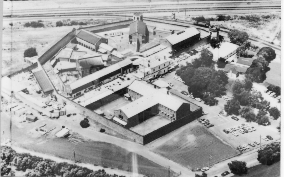 La crudeza que germinó un legado: cómo la olivicultura australiana nació en una cárcel