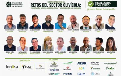 La microcredencial sobre retos del sector olivícola de la UNIA concluye con un rotundo éxito y una valoración extraordinaria por parte del alumnado